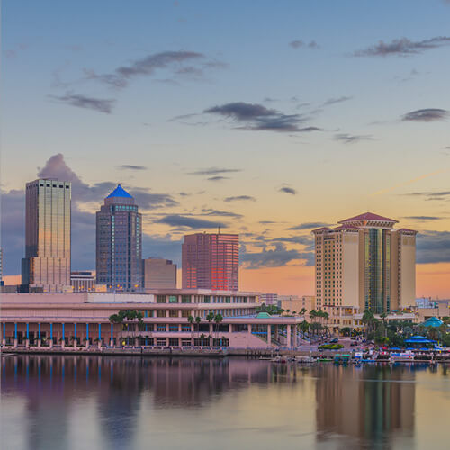 Marketing for Clearwater and Tampa Bay Businesses 